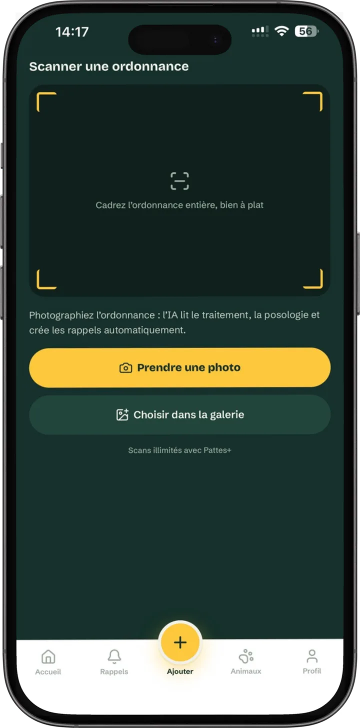 Le scan d’une ordonnance par l’IA dans l’application Pattes